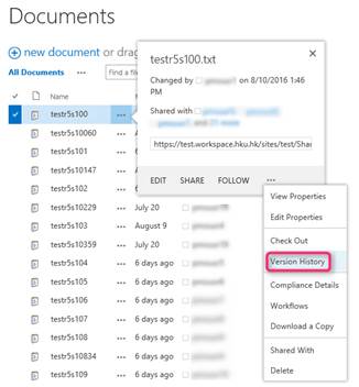 Select version history from the popup