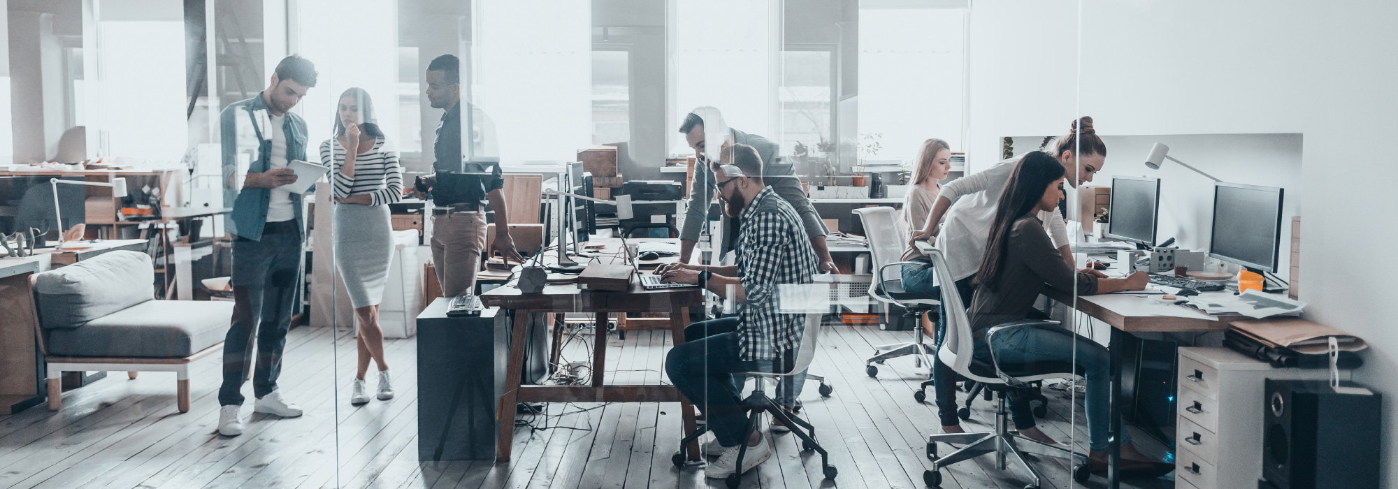people in office are working