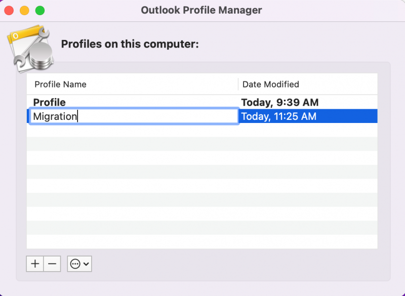 Name the new profile. (e.g., Migration)
