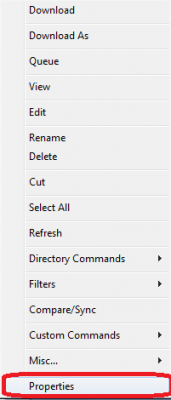 sftp coreftp personal 09