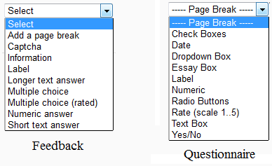 Questionnaire_13