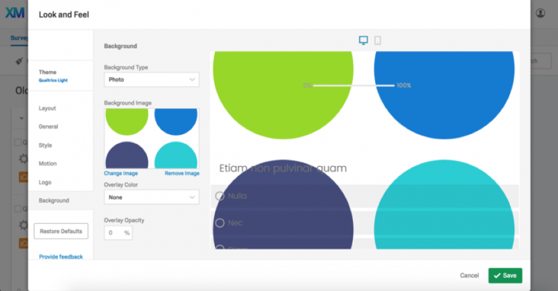 Look and Feel - Qualtrics » Information Technology Services